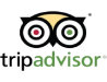 TripAdvisor logo